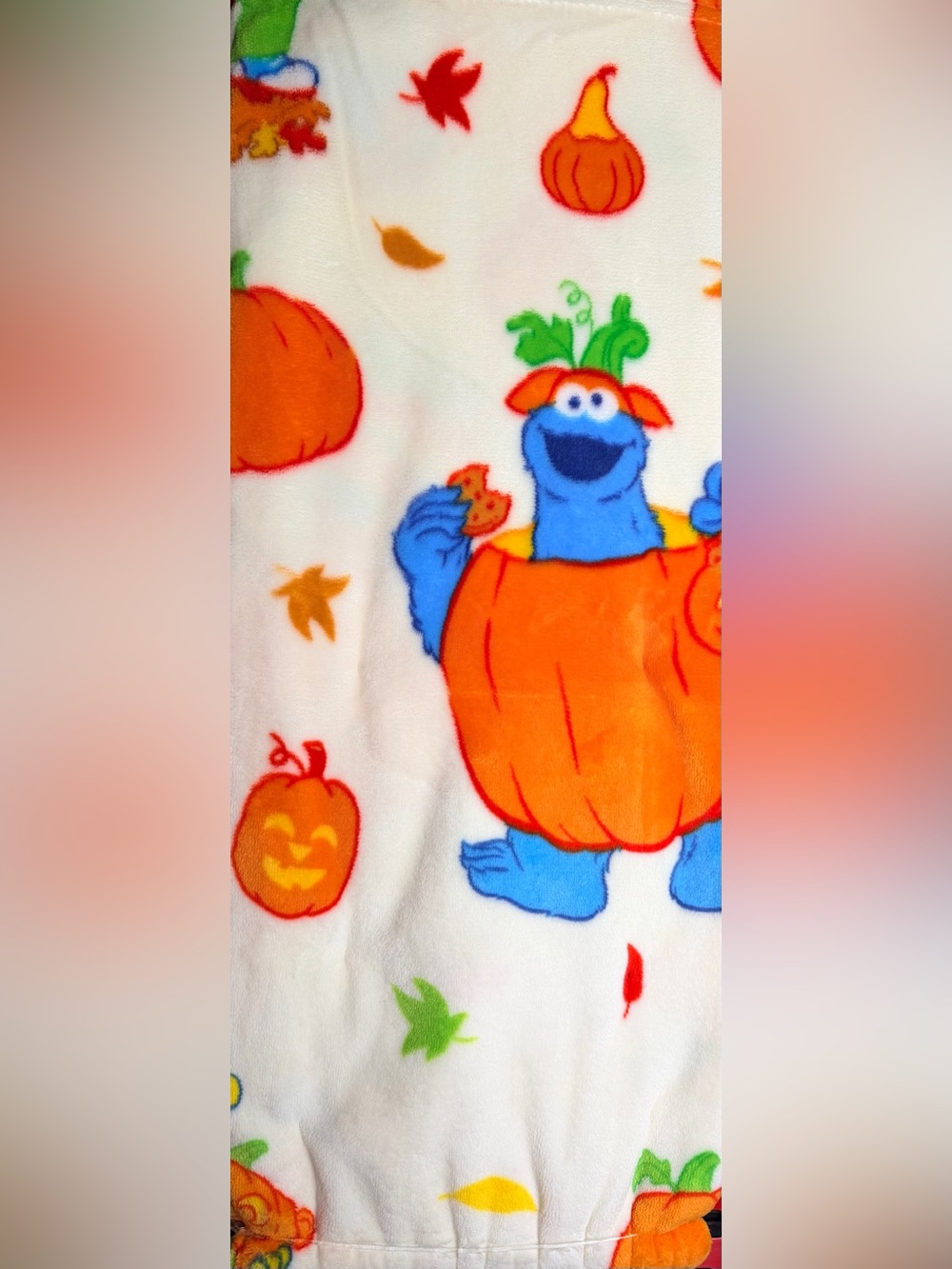 Sesame Street Halloween Blanket